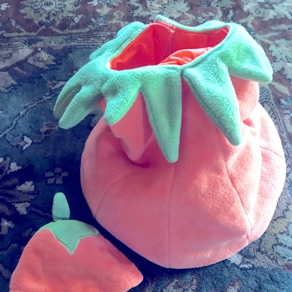 Pumpkin Costume - Picture 1 of 1